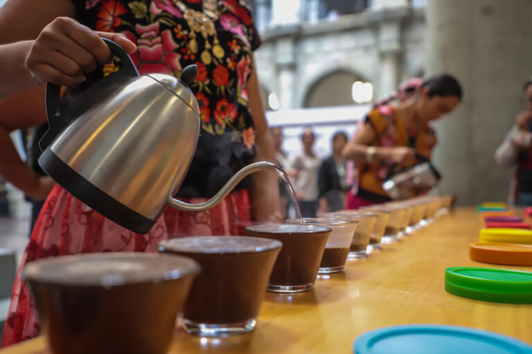 Anuncian la Convención del Café Oaxaqueño 2024